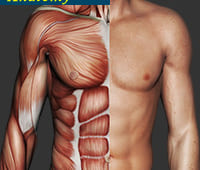 医師の私が惚れ込んだ最高峰のメンズ脂肪吸引でお腹と胸を最適化