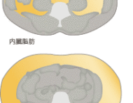 お腹の脂肪吸引で見違える姿に変身した、ある男性ゲスト