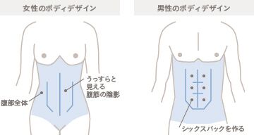 脂肪吸引のデザイン（男女別）