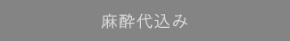 麻酔代込み