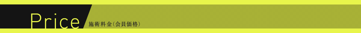 Price 施術料金
