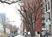1番出口を出て、桜通りを左手にしてそのまま直進します。<br />横断歩道を2つ越えると右手に名古屋桜通ビルがあります。