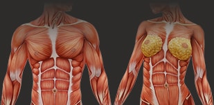 女性に対して乳頭縮小手術を行う場合、授乳機能を損なわないための細心の注意が必要ですが、男性にはその必要がありません。見た目の整形にだけ専念すればよいので、ご要望を反映しやすいと考えられます。